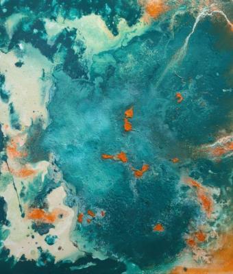 cartografia-per-pesci-immagina