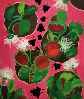 dionaea-muscipula