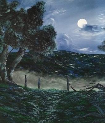 notte-in-campagna