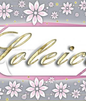 soleica