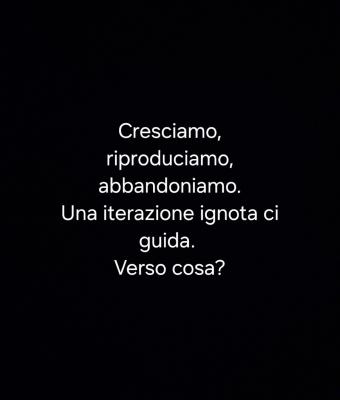 veronica-palladino