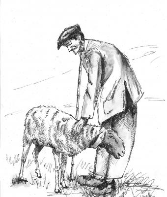 combai-ciccill-il-pastore