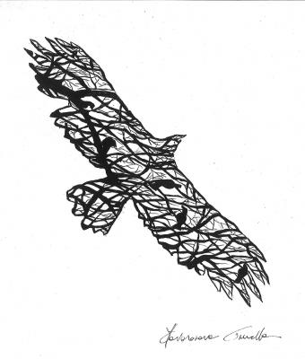 aquila-vola-alto