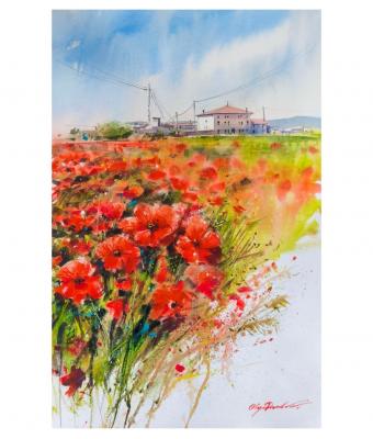 campagna-veneta