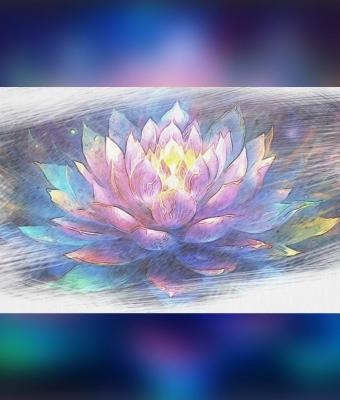 nymphaea