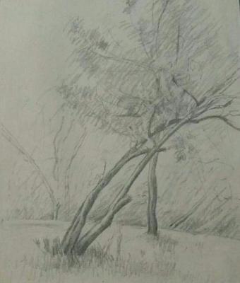 paesaggio
