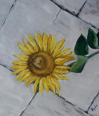 il-girasole
