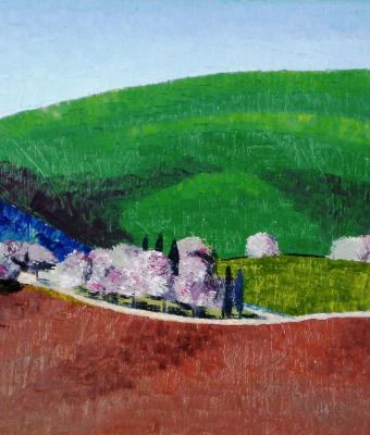 campagna-in-fiore