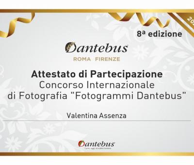 concorso-internazionale-di-fotografia-fotogrammi-dantebus