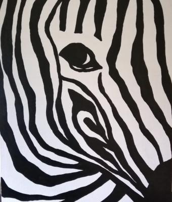 zebra