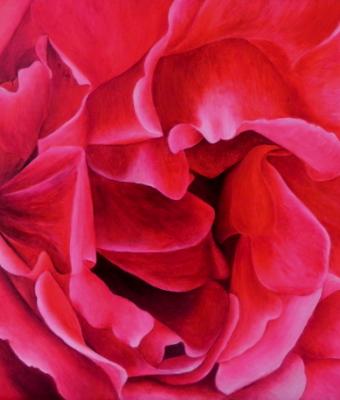 la-rosa
