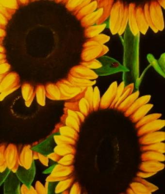 girasoli