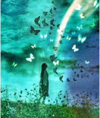 reborn-every-day