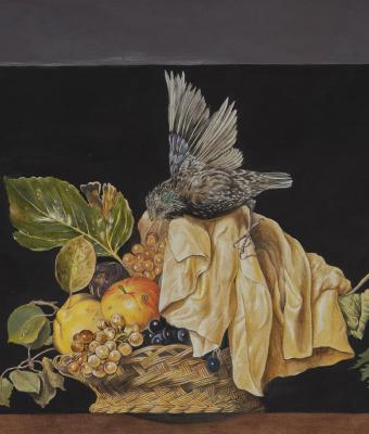 furto-in-casa-merisi