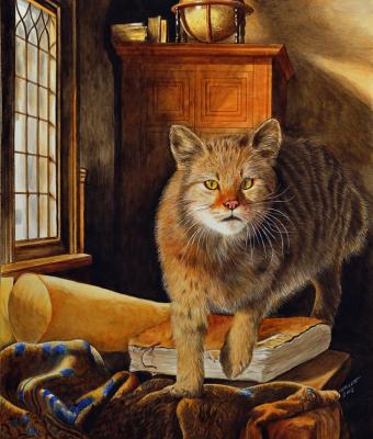 il-gatto-di-vermeer