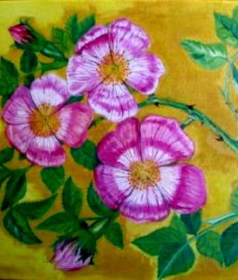 rose-dell-infanzia