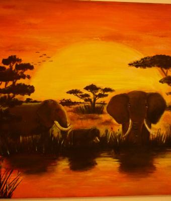 sole-d-africa