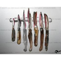 ferri-taglienti