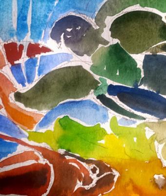 creazione