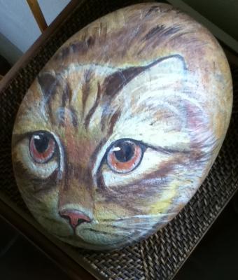 il-mio-leogatto