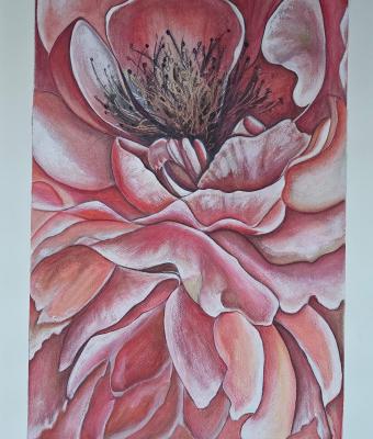 radici-in-fiore