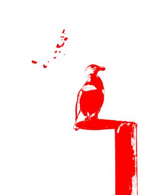 uccello