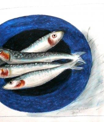 sardine