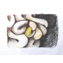 disegni