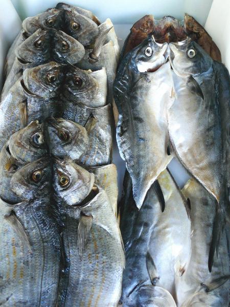 pesce-secco
