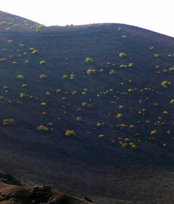 vulcano