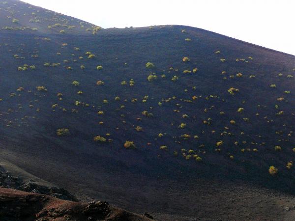 vulcano