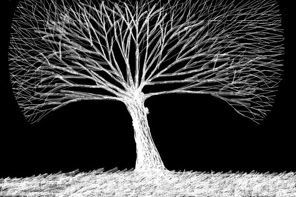 pianta-d-inverno