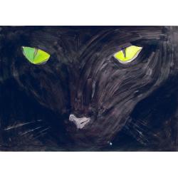 muso-gatto-nero
