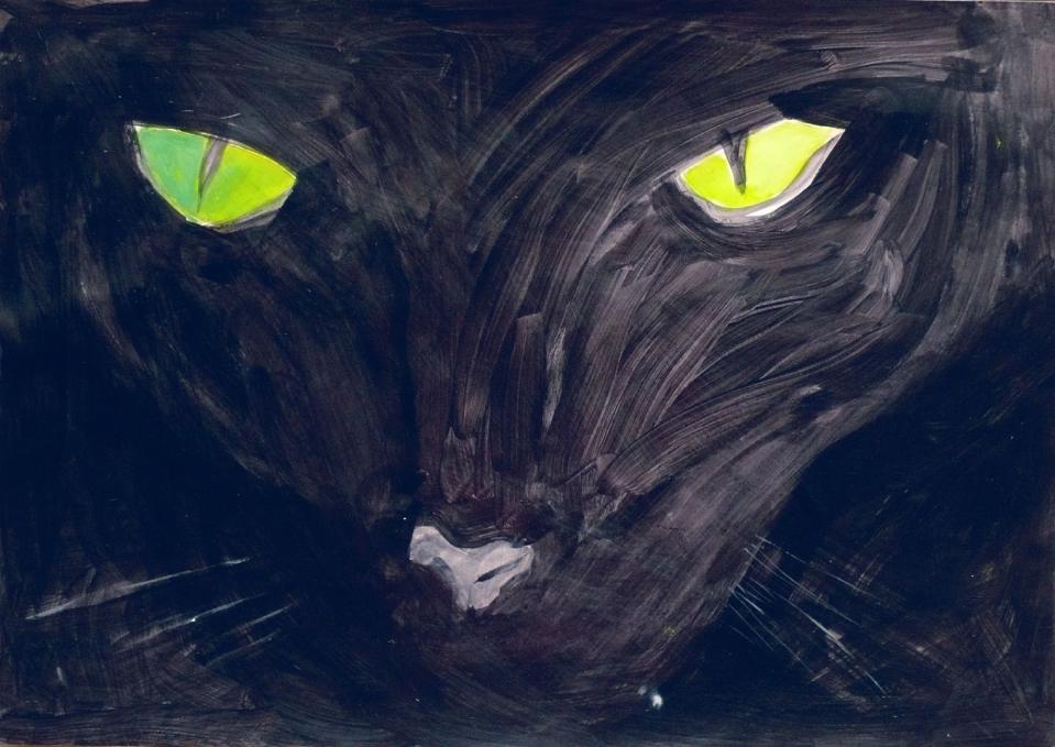 muso-gatto-nero