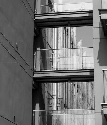 le-albere