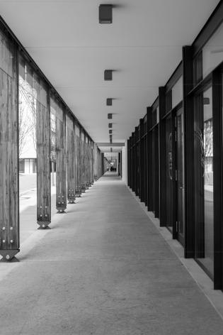 le-albere
