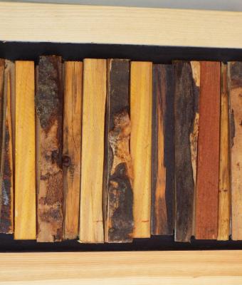 lignum-ii