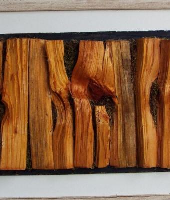lignum-ix