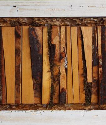 lignum-x
