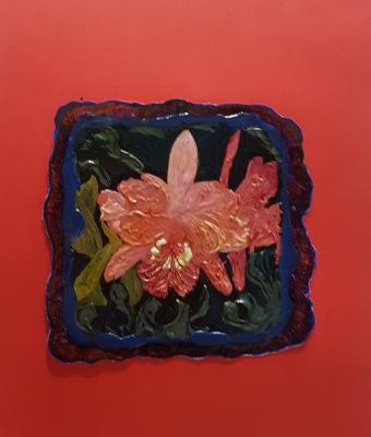 orchidee-7