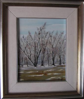 paesaggio-innevato