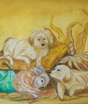 cuccioli-in-posa