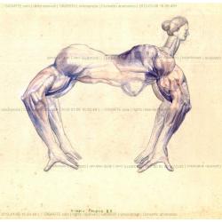 percezioni-dietro-l-occhio-opere-dal-1985