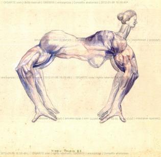 concetto-anatomico