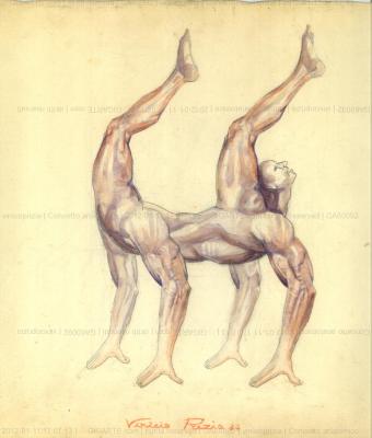 concetto-anatomico
