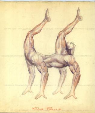 concetto-anatomico