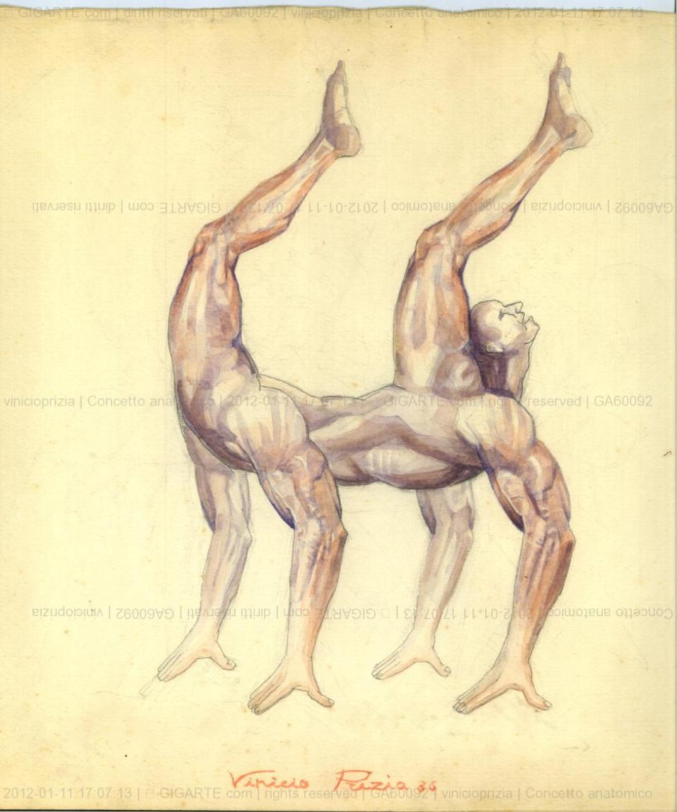 concetto-anatomico