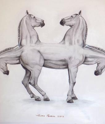 equus-caput-quattuor-nr-0