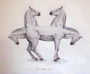 equus-caput-quattuor-nr-0