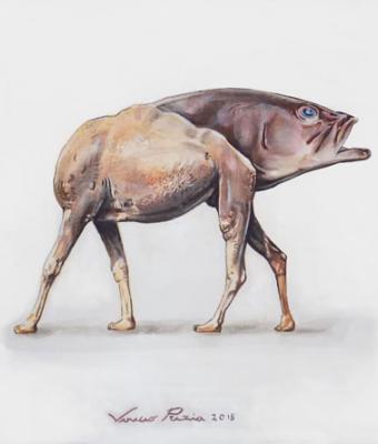 esplicans-caput-piscis-nr0